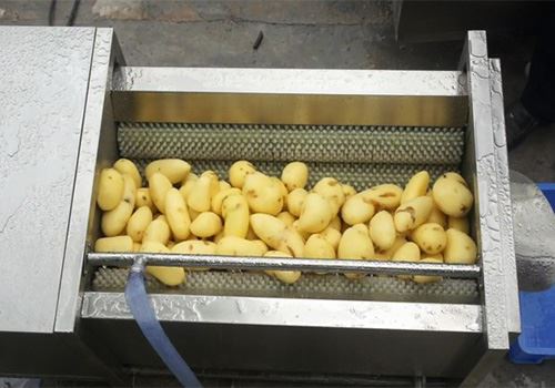 Roller washing and peeling machine7 滚筒洗涤和剥皮机7