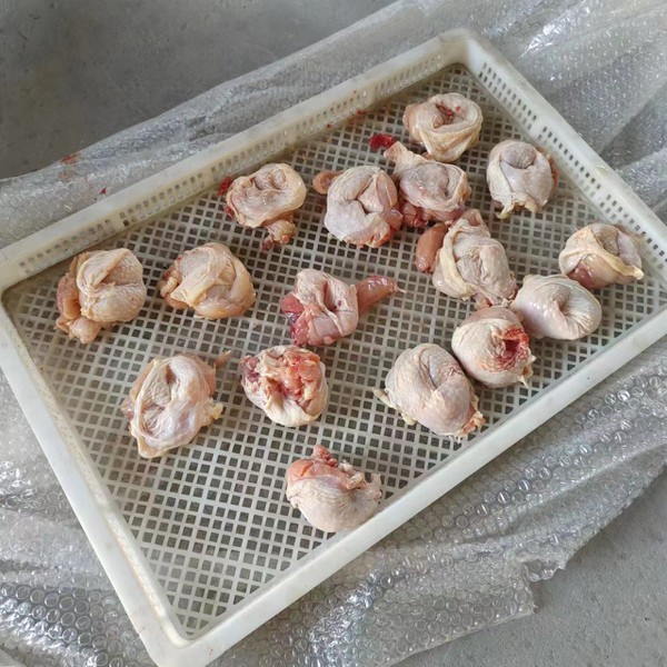 47347217b13a607e50db510fb7a40c6 47347217b13a607e50db510fb7a40c6