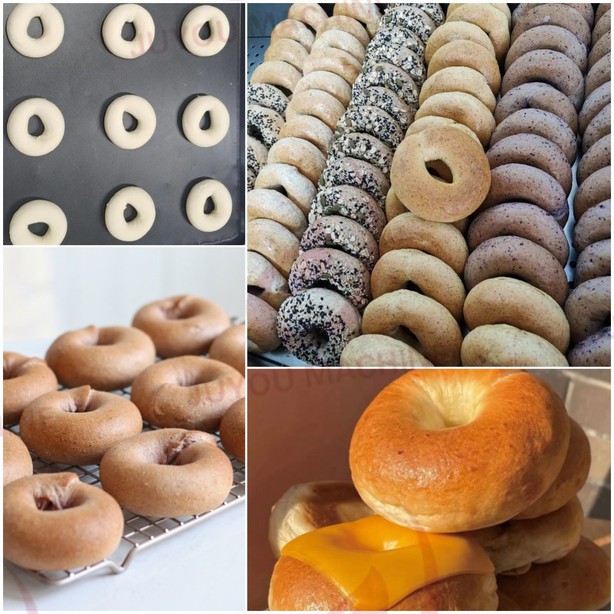 Bagel forming machine5 Bagel编译机5