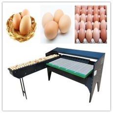 鸡蛋排序机