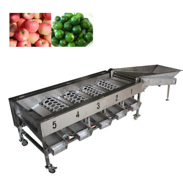 水果排序机5