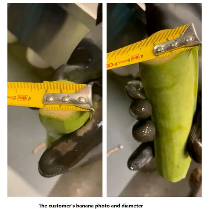 客户香蕉相片直径