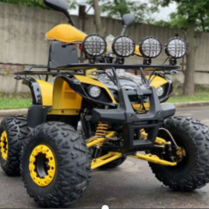 摩托车成人Atv Quad自行车