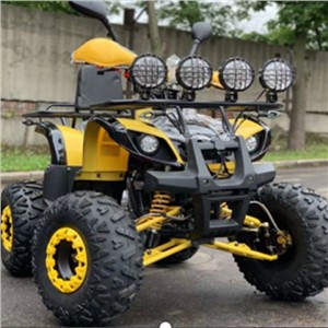 摩托周期成人AtvQuadBike